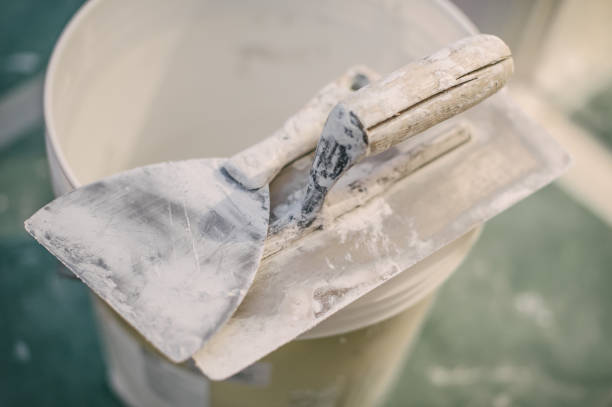 Trusted Glen Ridge, NJ Mold Removal Experts